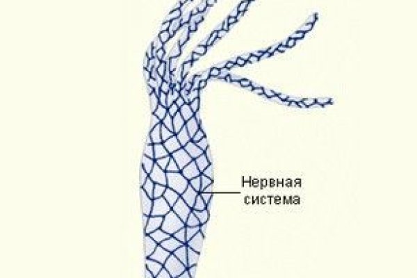 Кракен найти сайт